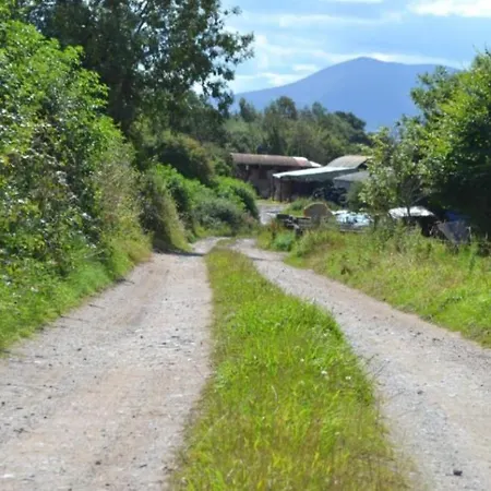 Apartamento Annaswood Self Catering Ballylooby