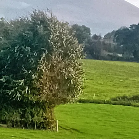 Annaswood Self Catering Ballylooby