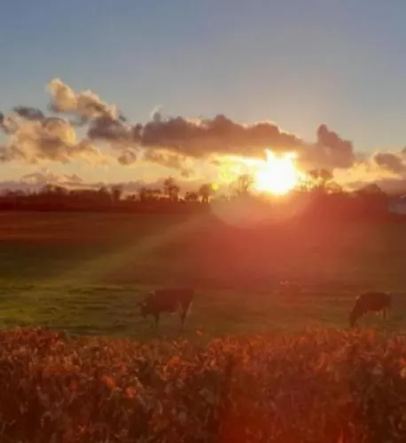 Annaswood Self Catering Ballylooby