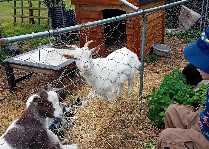 Annaswood Self Catering